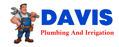 Trusted plumber in DUNBRIDGE